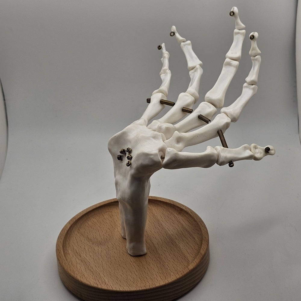 Suck UK Skeleton Hand Jewelry Tidy Holder Organizer Halloween